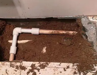 焦作市测漏水哪家好