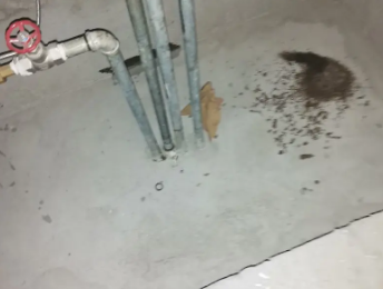 焦作市卫生间测漏水价格明细