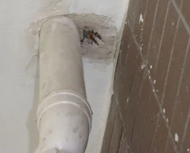 焦作市漏水检测哪家好